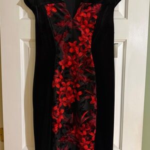 NWT Black and Red Floral Velour Dress